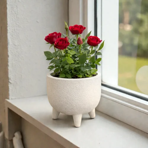 Perla Mini Ayaklı Saksı